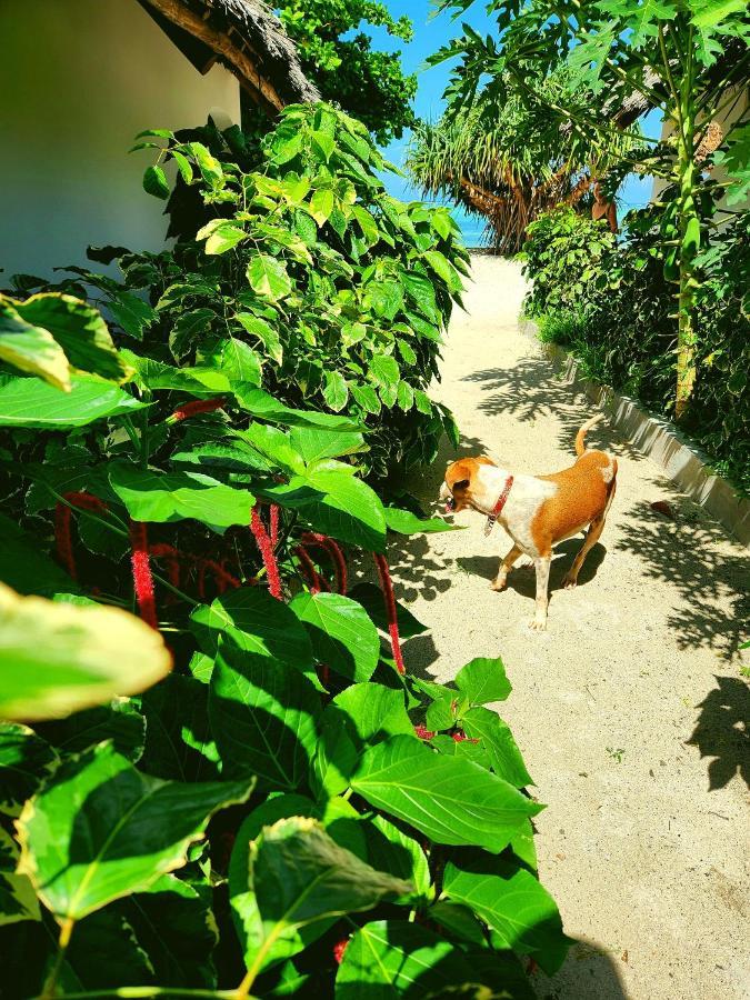 Almas Beach Boutique Hotel Makunduchi 外观 照片