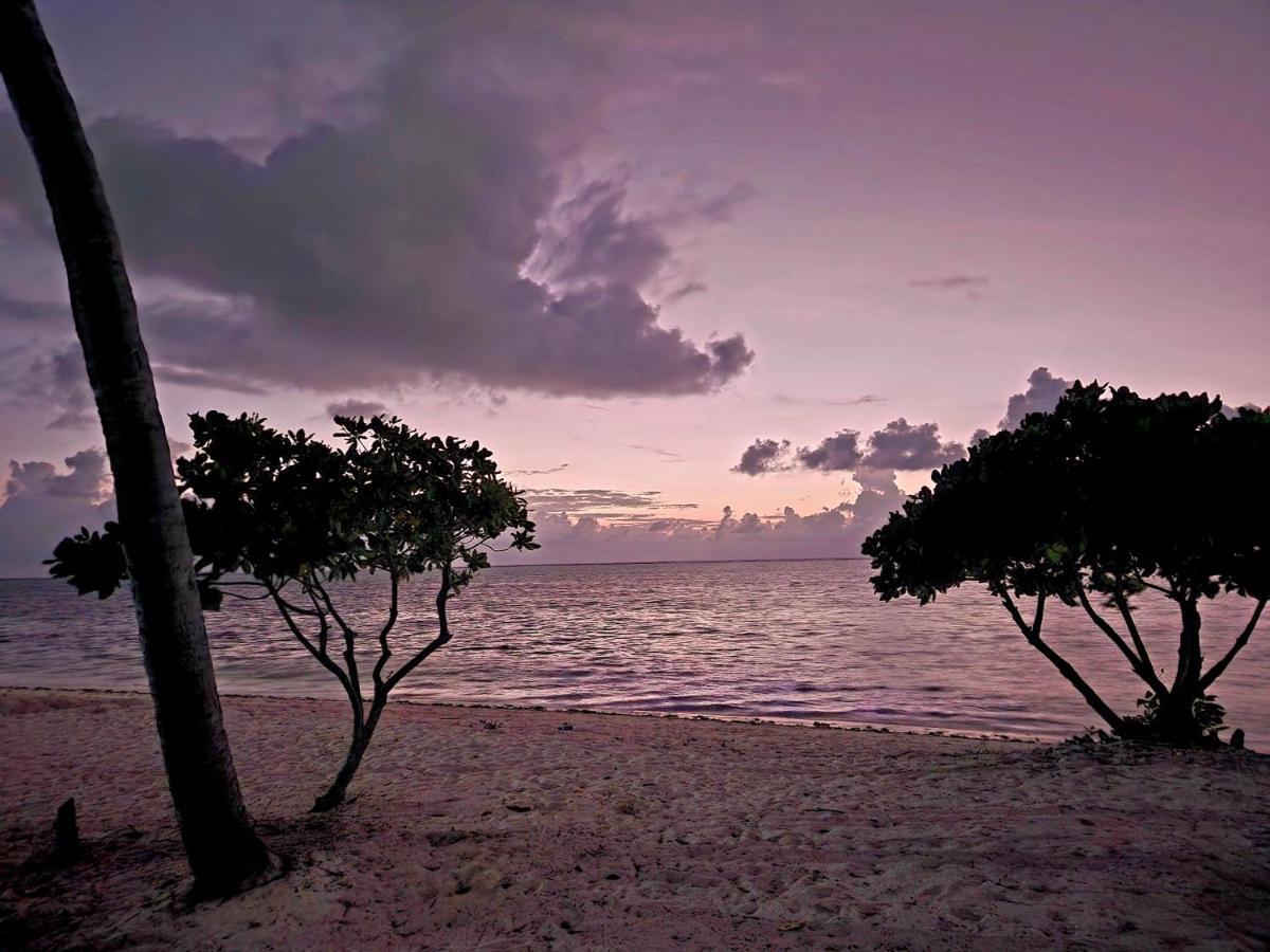 Almas Beach Boutique Hotel Makunduchi 外观 照片